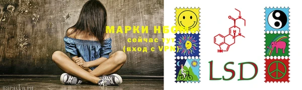 эйфоретик Баксан