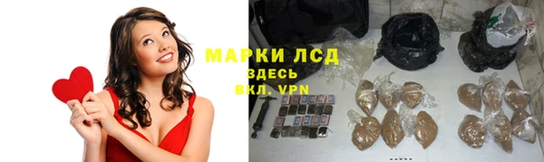 эйфоретик Баксан