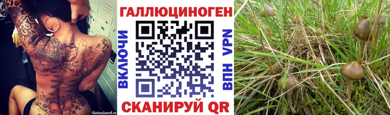 Псилоцибиновые грибы прущие грибы Тавда